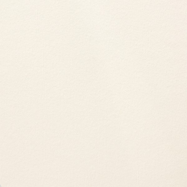 Acquarello Avorio 280gsm A4 textured cardstock - 10 sheets