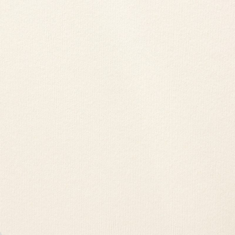 Acquerello Avorio 240gsm A4 textured cardstock - 10 sheets