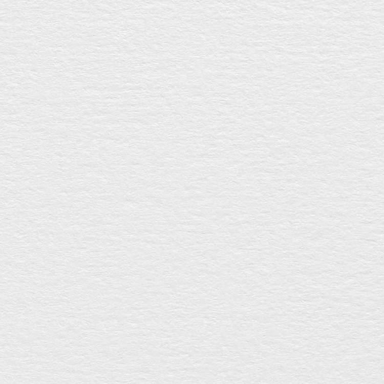Colorplan Pristine White 270gsm A4 cardstock - 10 sheets