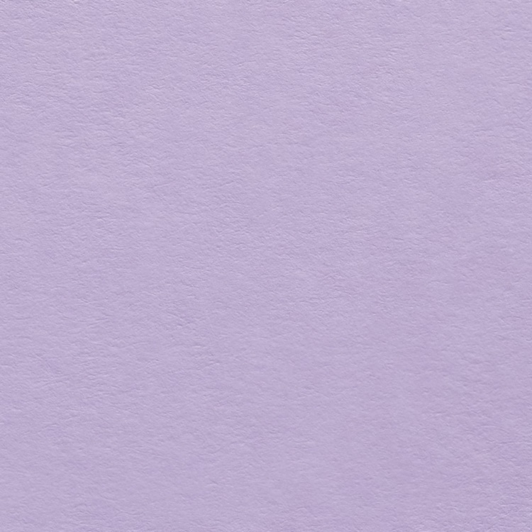 Colorplan Lavender / Light Lilac 270gsm A4 cardstock - 10 sheets