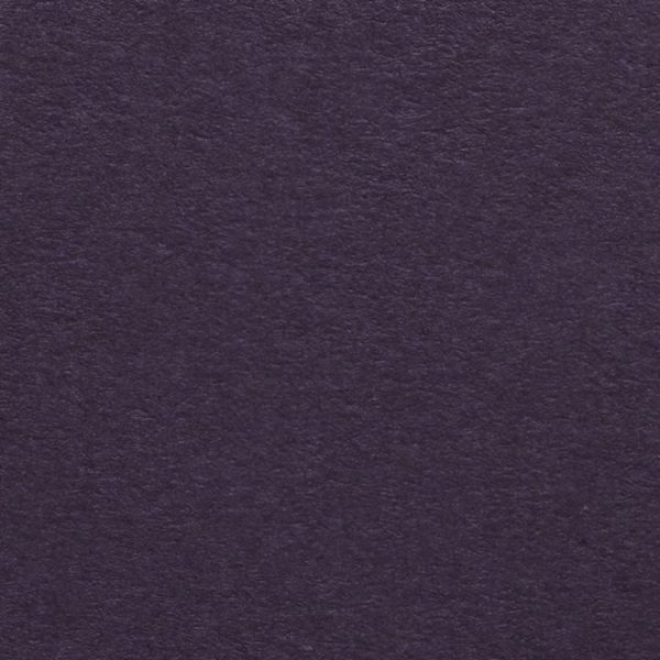Colorplan Amethyst / Deep Purple 270gsm A4 cardstock - 10 sheets
