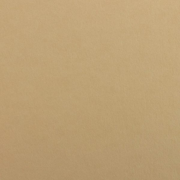Colorplan Stone / Dark Beige 270gsm A4 cardstock - 10 sheets