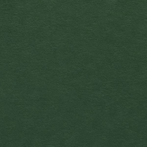 Colorplan Forest 270gsm A4 cardstock - 10 sheets