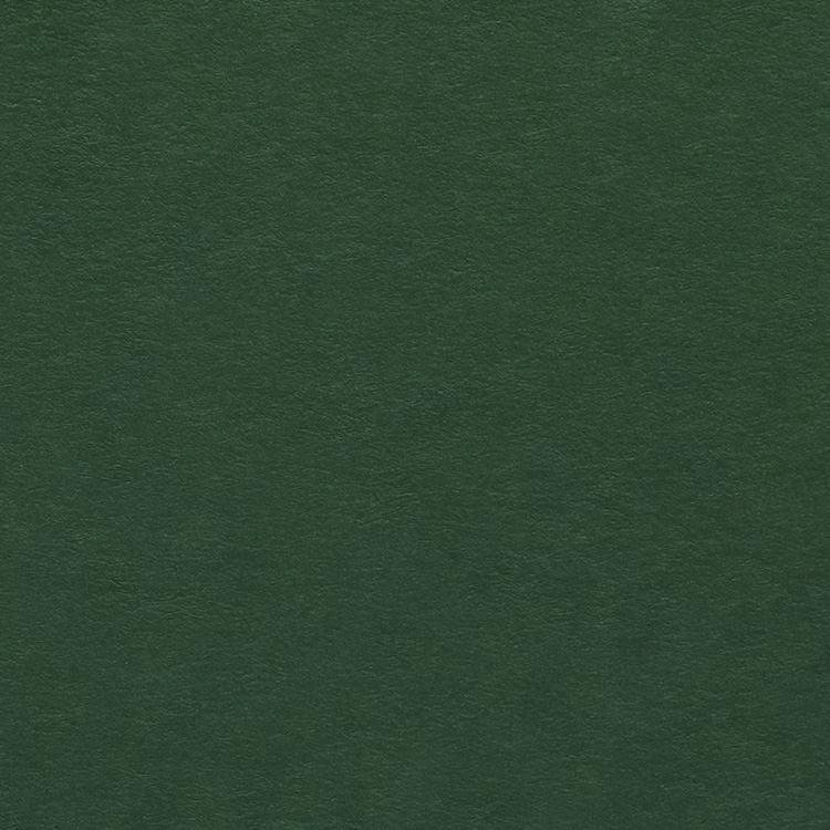 Colorplan Forest 270gsm A4 cardstock - 10 sheets