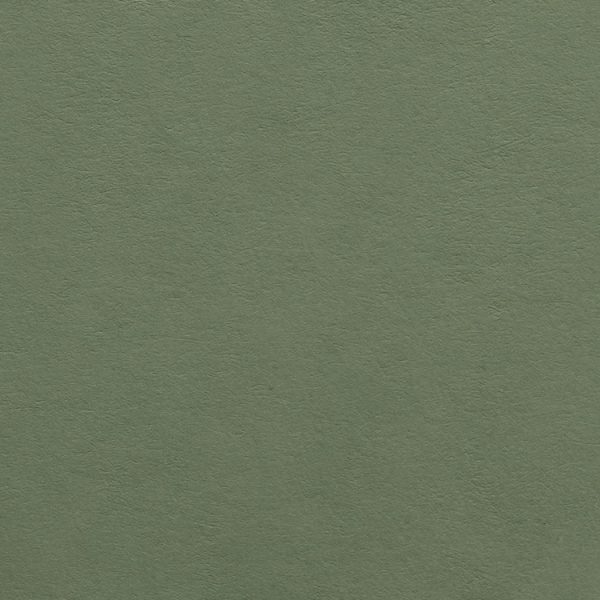 Colorplan Mid Green/Sage Green 175gsm A4 paper - 10 sheets