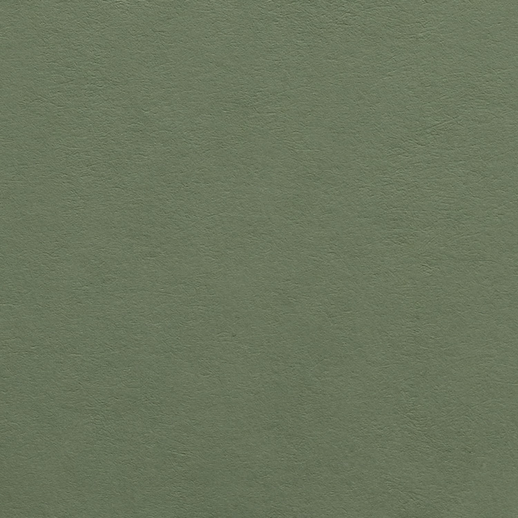 Colorplan Mid Green/Sage Green 270gsm A4 cardstock - 10 sheets