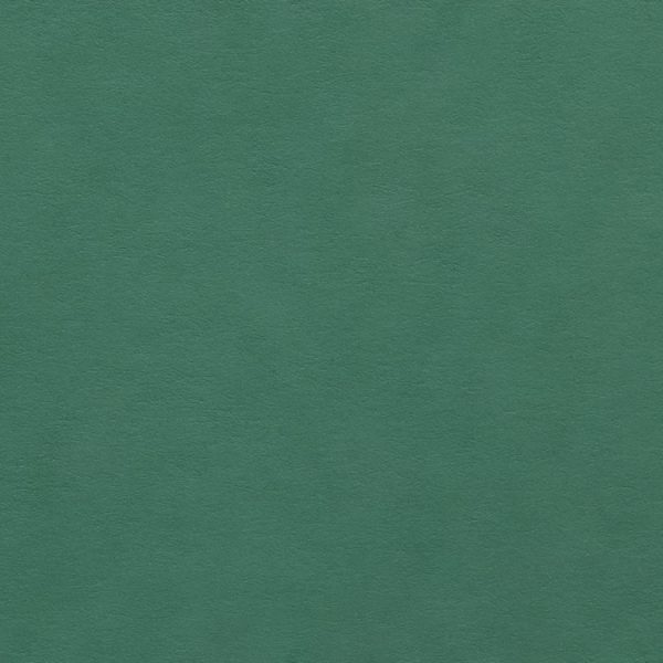 Colorplan Emerald 270gsm A4 cardstock - 10 sheets