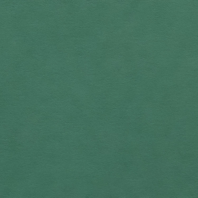 Colorplan Emerald 270gsm A4 cardstock - 10 sheets