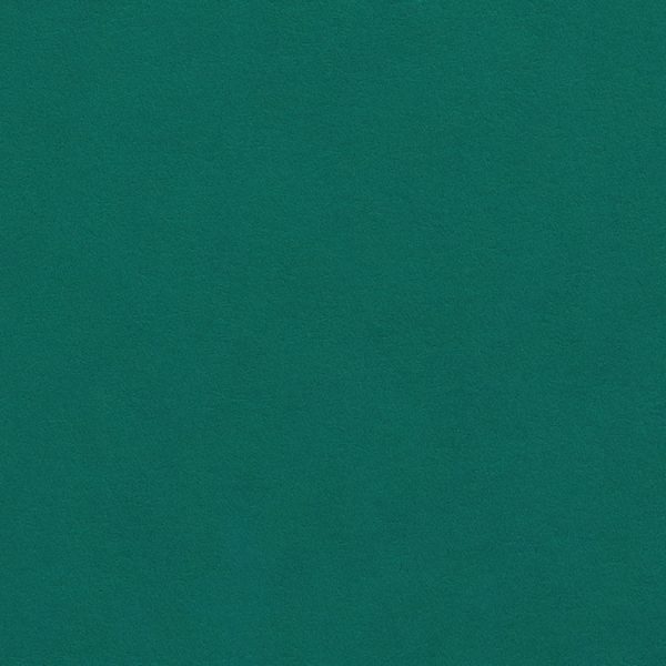 Colorplan  Marrs Green 270gsm A4 cardstock - 10 sheets