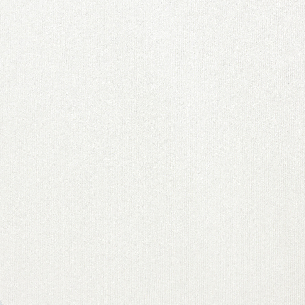 Acquerello Bianco 240gsm A4 textured cardstock - 10 sheets