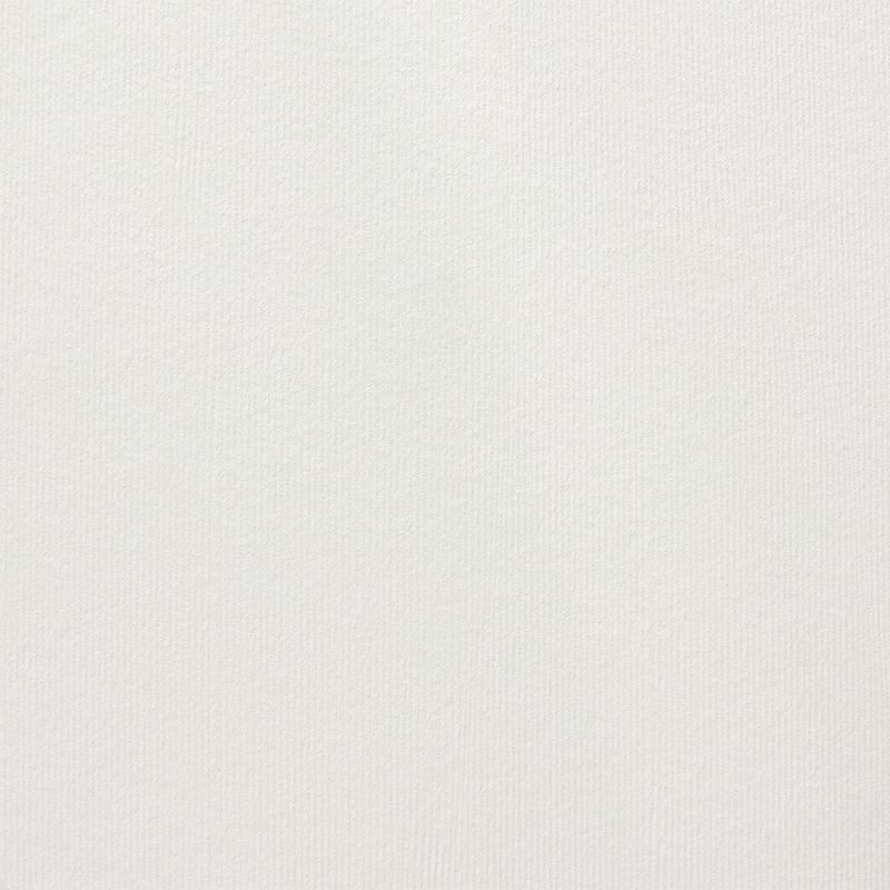 myDali Candido 285gsm A4 textured cardstock - 10 sheets