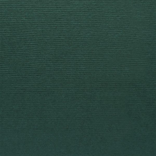 Dali Pine Green 200gsm A4 textured cardstock - 10 sheets