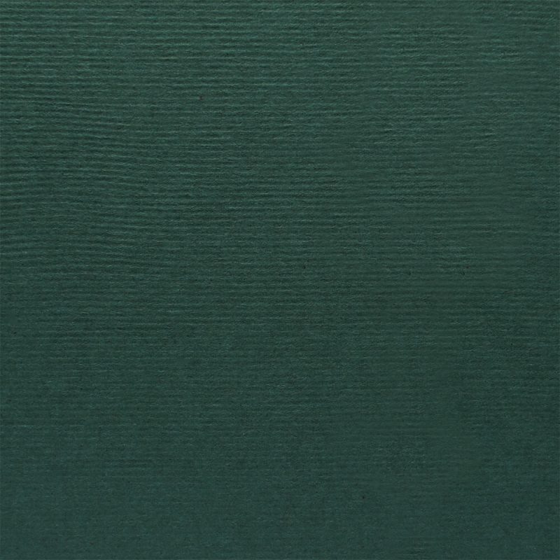 Dali Pine Green 200gsm A4 textured cardstock - 10 sheets