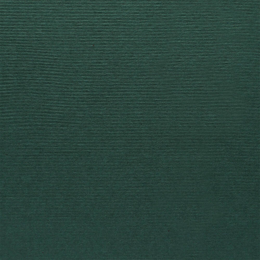 Dali Pine Green 200gsm A4 textured cardstock - 10 sheets