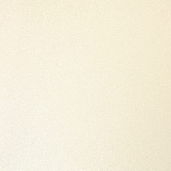 Stardream Opal 285gsm A4 cardstock - 10 sheets