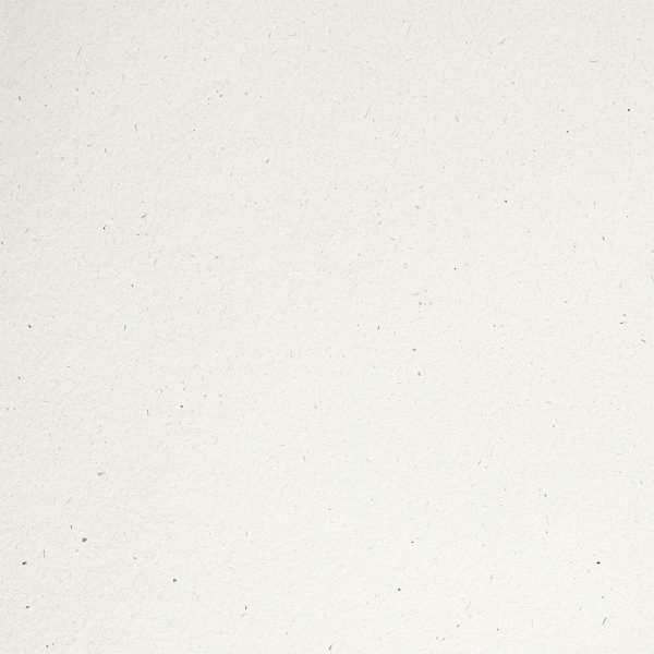 myFlora Anice 240gsm A4 cardstock - 10 sheets