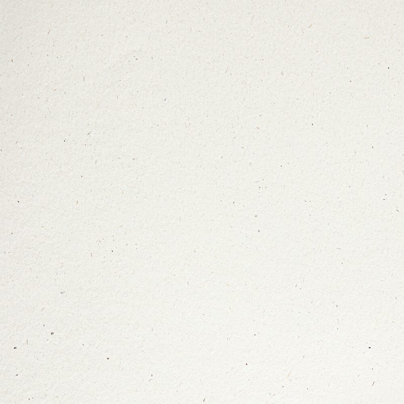 myFlora Anice 240gsm A4 cardstock - 10 sheets