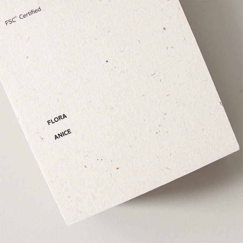 myFlora Anice 240gsm A4 cardstock - 10 sheets - Image 2