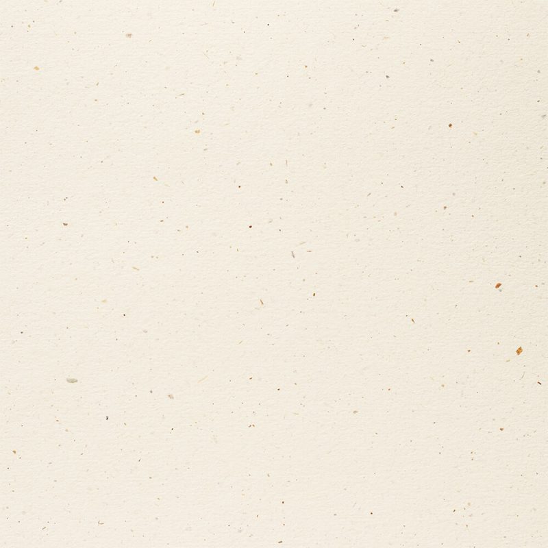 Curious Particles White Java recycled cardstock