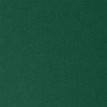 OLIN Colors Jungle Green 240g colored cardstock