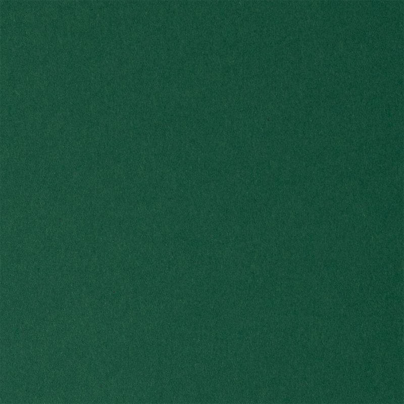 OLIN Colors Jungle Green 240g colored cardstock