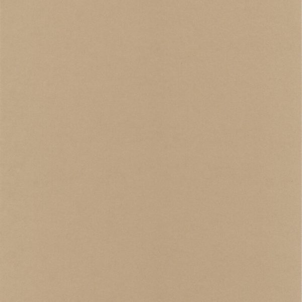 Olin Origins Cereal A4 cardstock