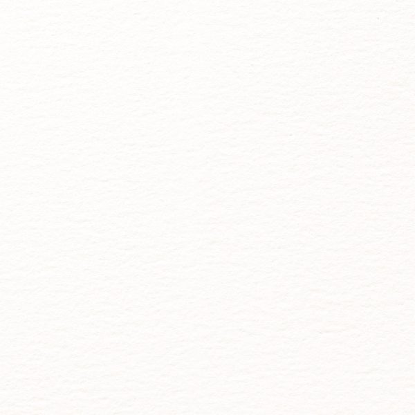 my NATURAL EVOLUTION IVORY textured coated cardstock