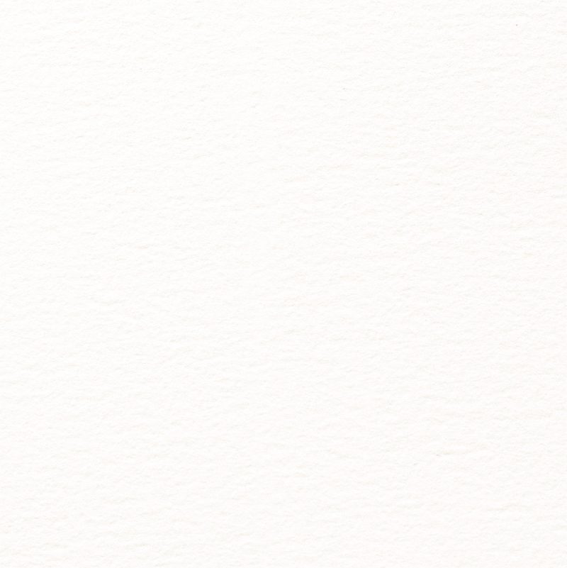 my NATURAL EVOLUTION IVORY textured coated cardstock