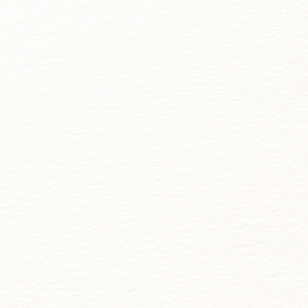 my NATURAL EVOLUTION IVORY textured coated cardstock