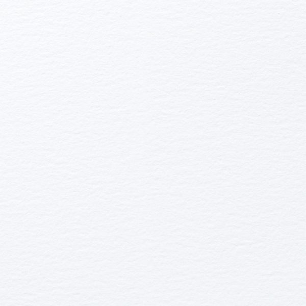 my NATURAL EVOLUTION WHITE - textured coated cardstock