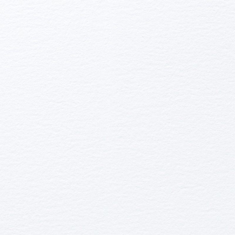 my NATURAL EVOLUTION WHITE - textured coated cardstock