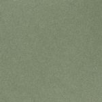 my Wild green - textured colored cardstock & paper